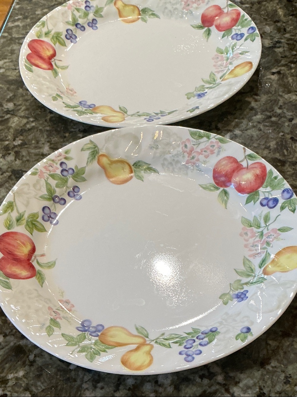 Two Corelle dinner plates in Chutney pattern. White surface with decorative rim